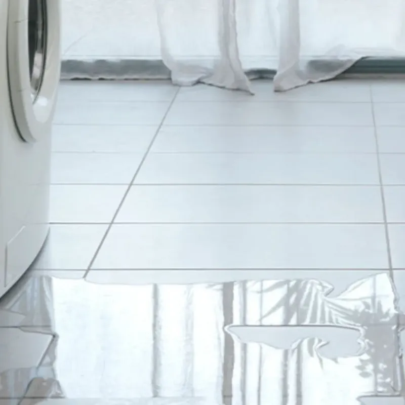 Appliance Leak Cleanup in Alsip, IL