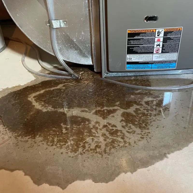 Pipe Burst and Leak Restoration in Alsip, IL